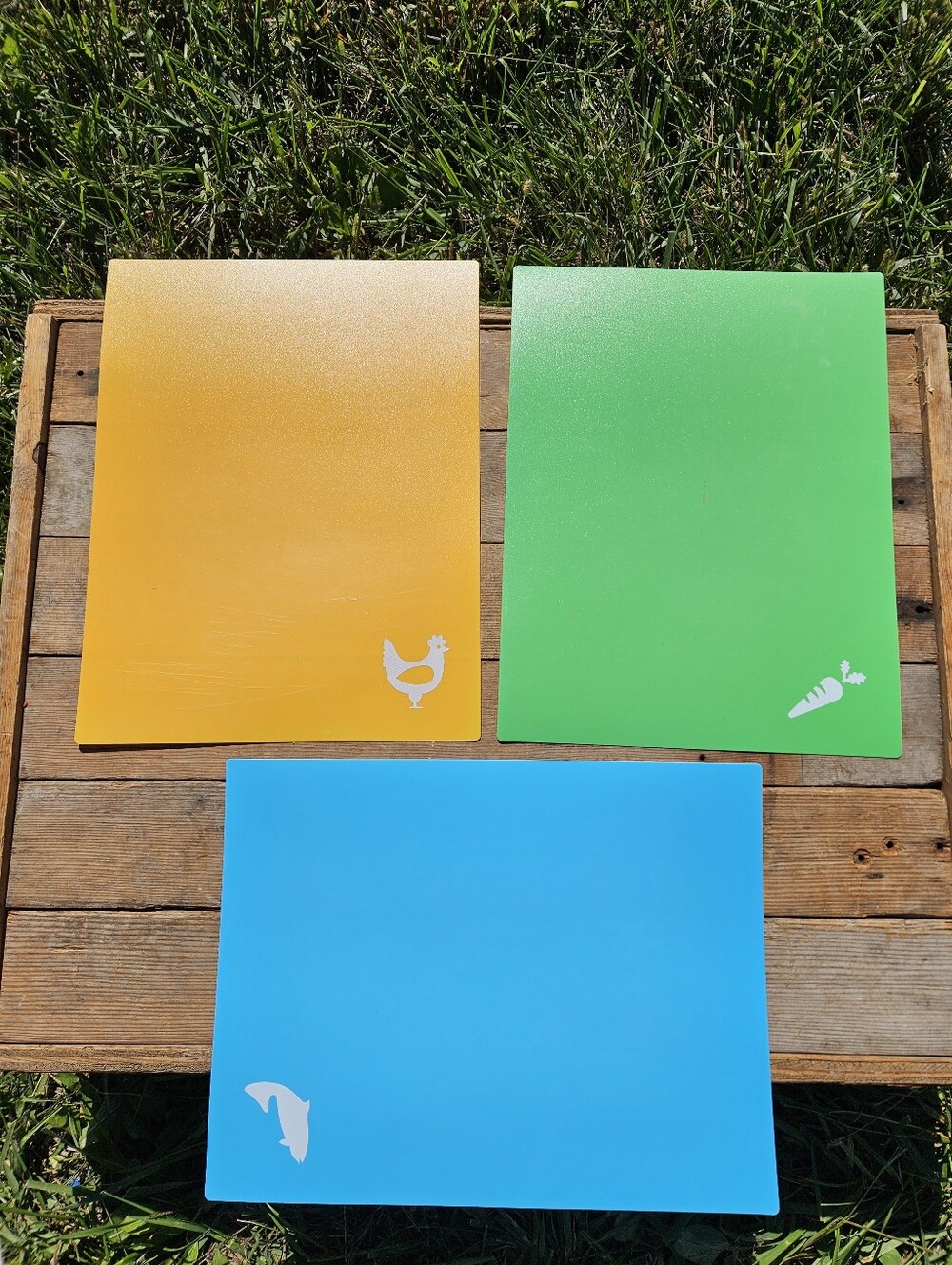 Small Pets Color-Coded Feeding/Play Boards - Blue, Green, Yellowlot of 3 15" x 1